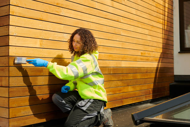 Best Vinyl Siding Installation  in Masonville, KY